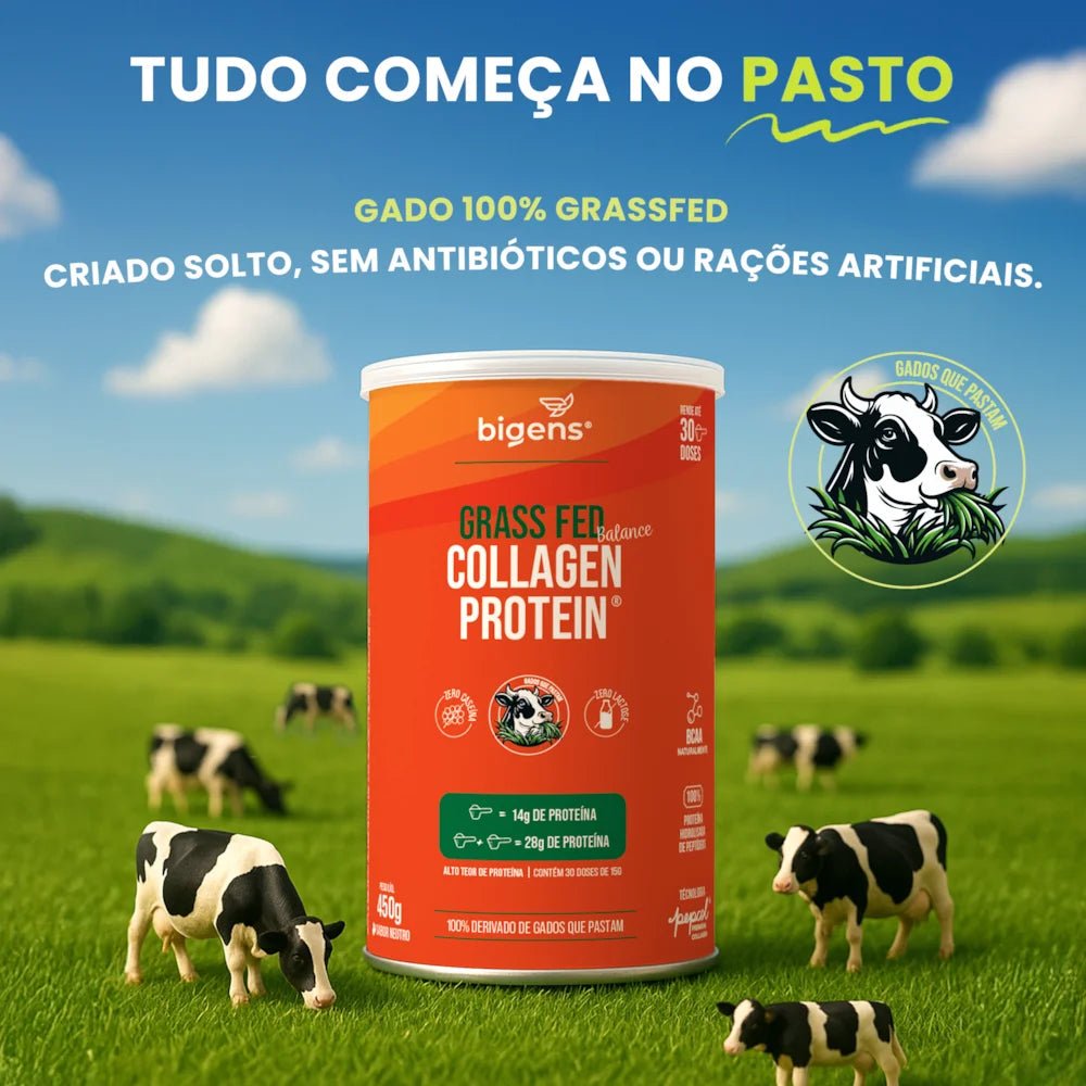 Grass Fed Balance Collagen Protein Chocolate com Avelã | Alto Teor de Proteína 560g - Bigens