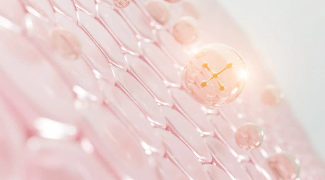 Colágeno tipo I, II ou III? Veja qual deles age onde você mais precisa - Bigens