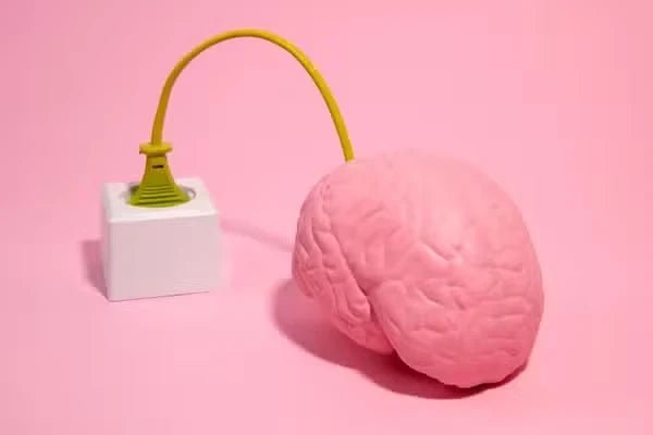 Colina suplemento: para que serve, benefícios e quando a suplementação pode ser indicada - Bigens