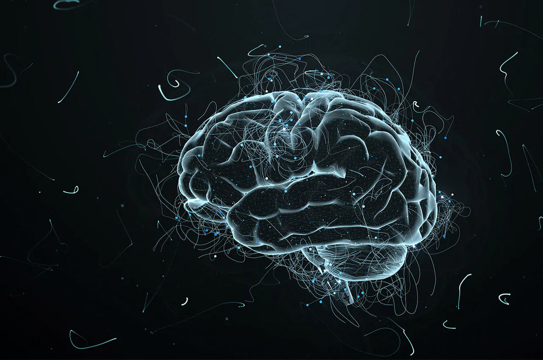 imagem computadorizada de cérebro humano