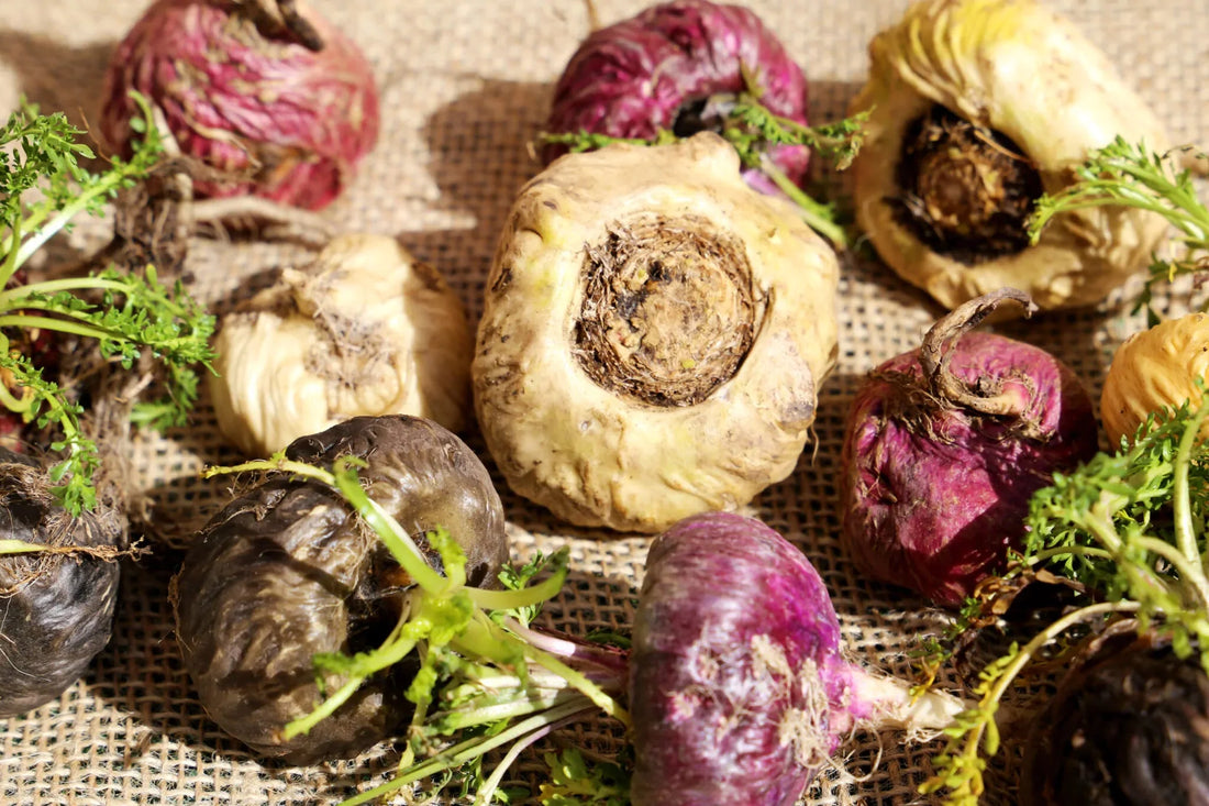 MACA PERUANA: TUDO QUE VOCÊ PRECISA SABER - Bigens