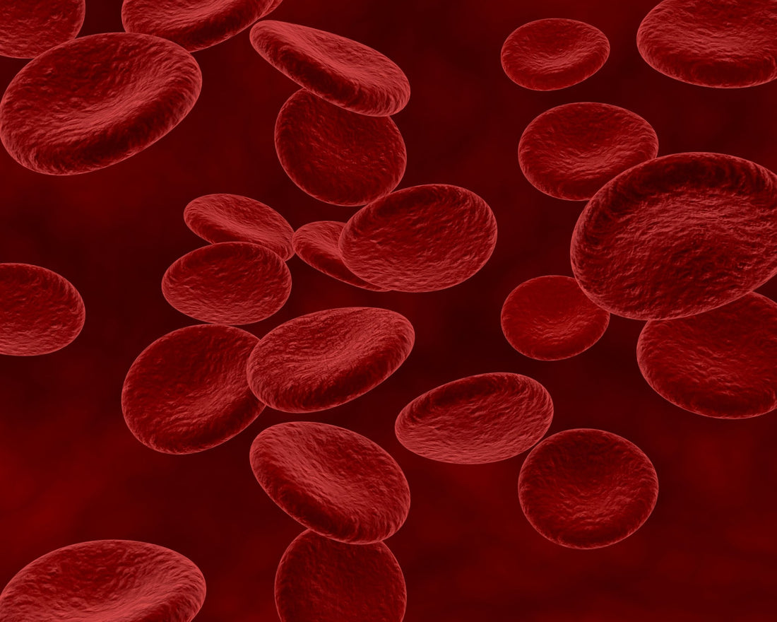 Metilcobalamina B12: o que é, para que serve e quais são os benefícios - Bigens