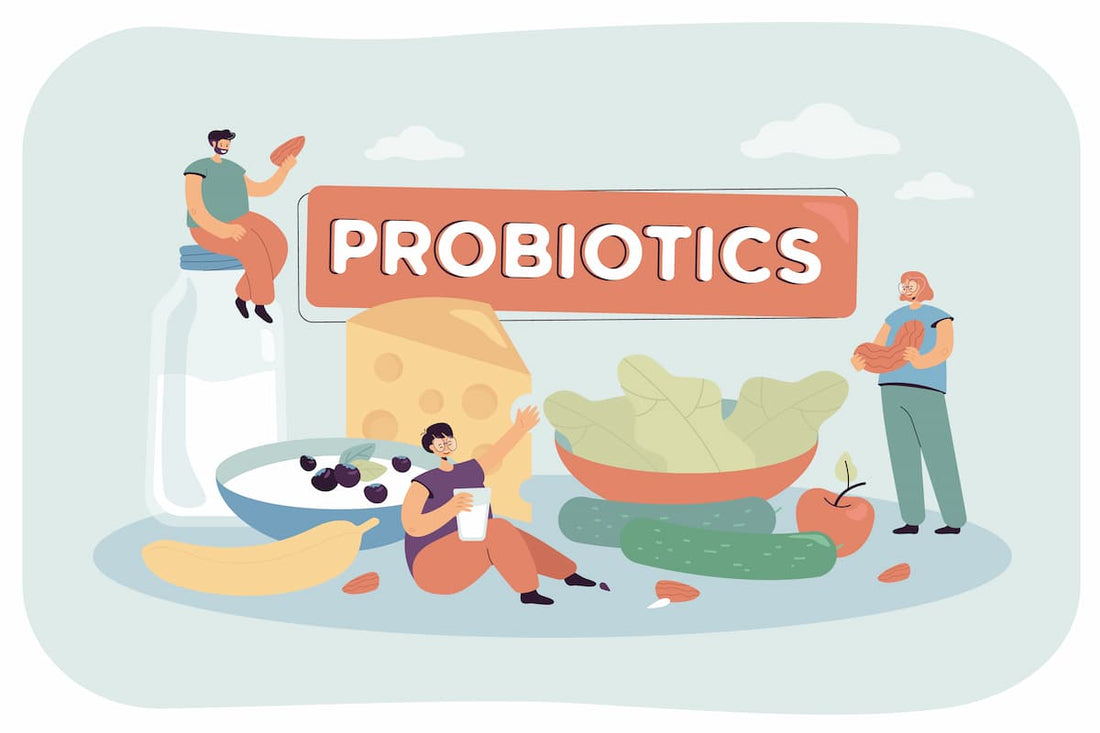 Probióticos e saúde intestinal: benefícios, funcionamento e uso diário - Bigens