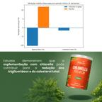 Chlorella Premium | 5.000mg por Dose 150g - Bigens