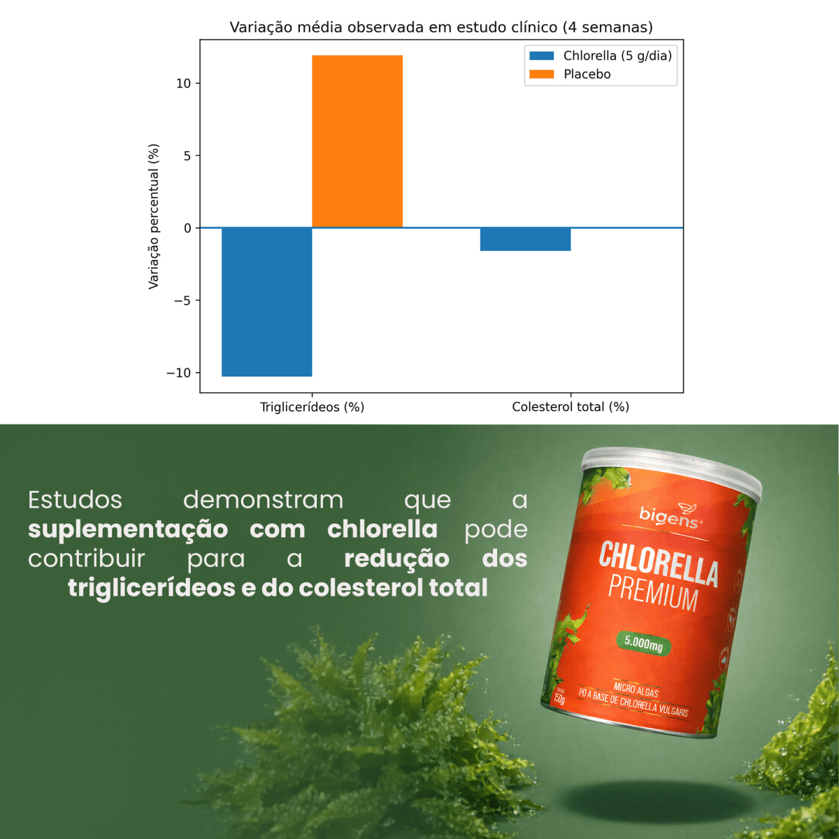 Chlorella Premium | 5.000mg por Dose 150g - Bigens