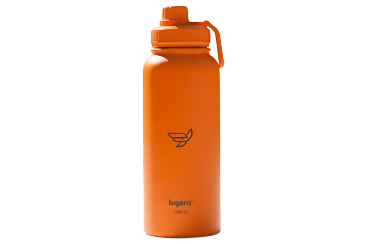 🎁 Garrafa Térmica Inox 1L (99.99% off) - Bigens