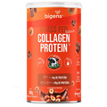 Grass Fed Balance Collagen Protein Chocolate com Avelã | Alto Teor de Proteína 560g - Bigens