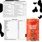 Grass Fed Balance Collagen Protein Chocolate com Avelã | Alto Teor de Proteína 560g - Bigens