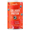 Grass Fed Balance Collagen Protein Frutas Vermelhas | Alto Teor de Proteína 560g - Bigens