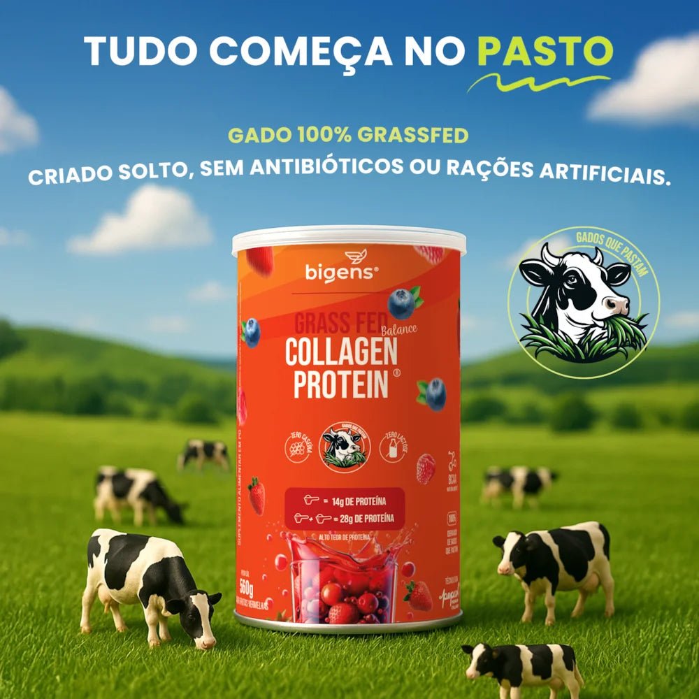 Grass Fed Balance Collagen Protein Frutas Vermelhas | Alto Teor de Proteína 560g - Bigens