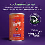 Grass Fed Creatin Collagen Protein | Pure Creatin 550g - Bigens