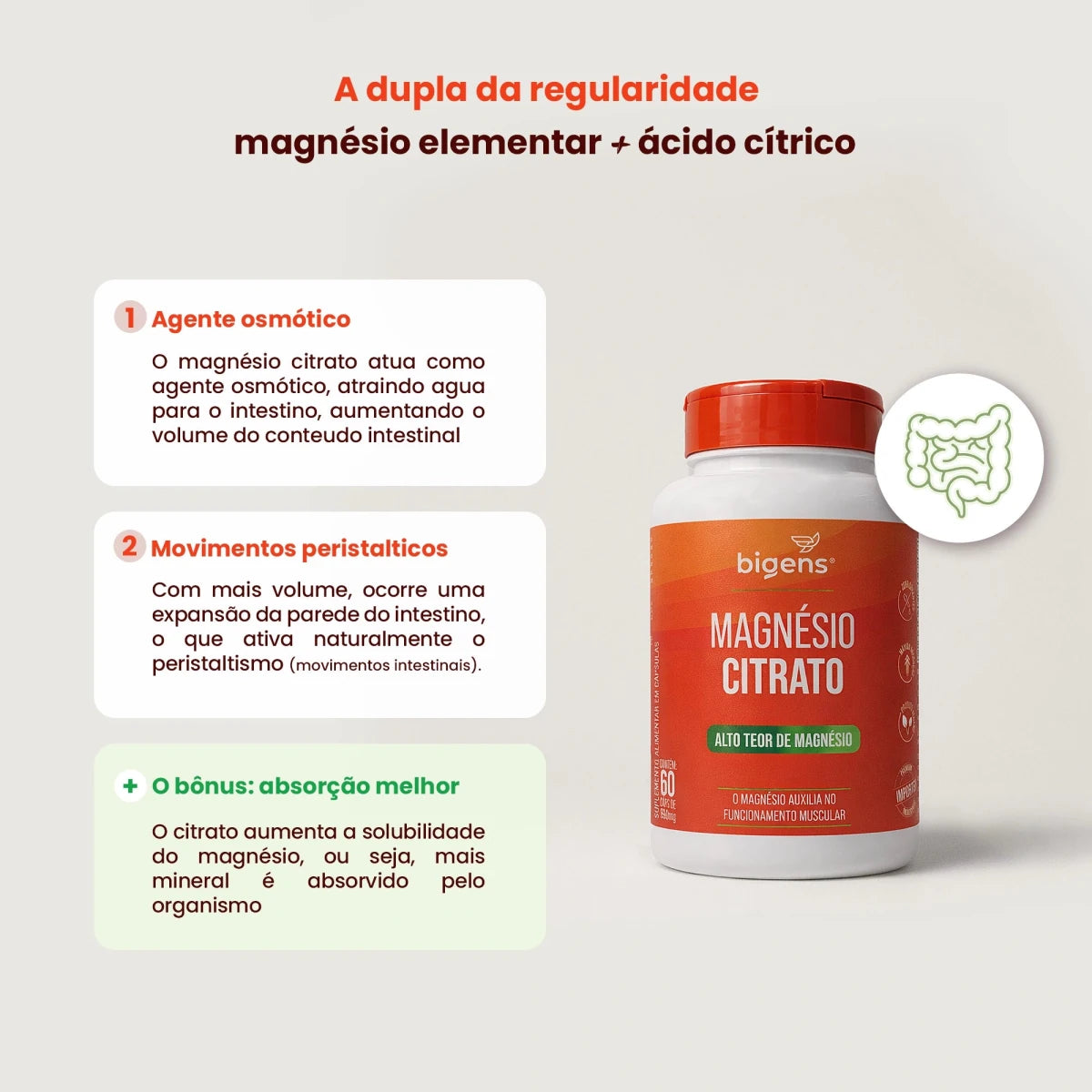 Magnésio Citrato | 260mg de Magnésio Elementar 60 Cápsulas - Bigens