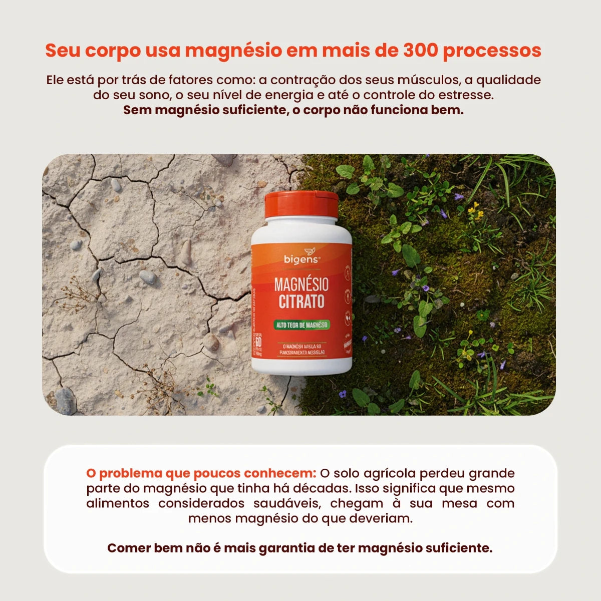 Magnésio Citrato | 260mg de Magnésio Elementar 60 Cápsulas - Bigens