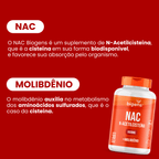 NAC N - Acetilcisteína | Molibdênio 30 Cápsulas - Bigens
