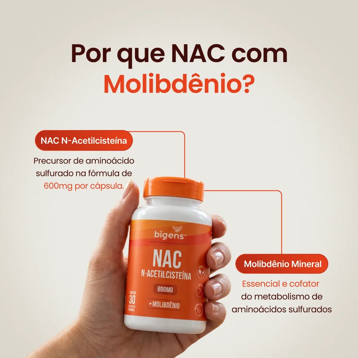 NAC N-Acetilcisteína | Molibdênio 30 Cápsulas - Aminoácidos - Bigens