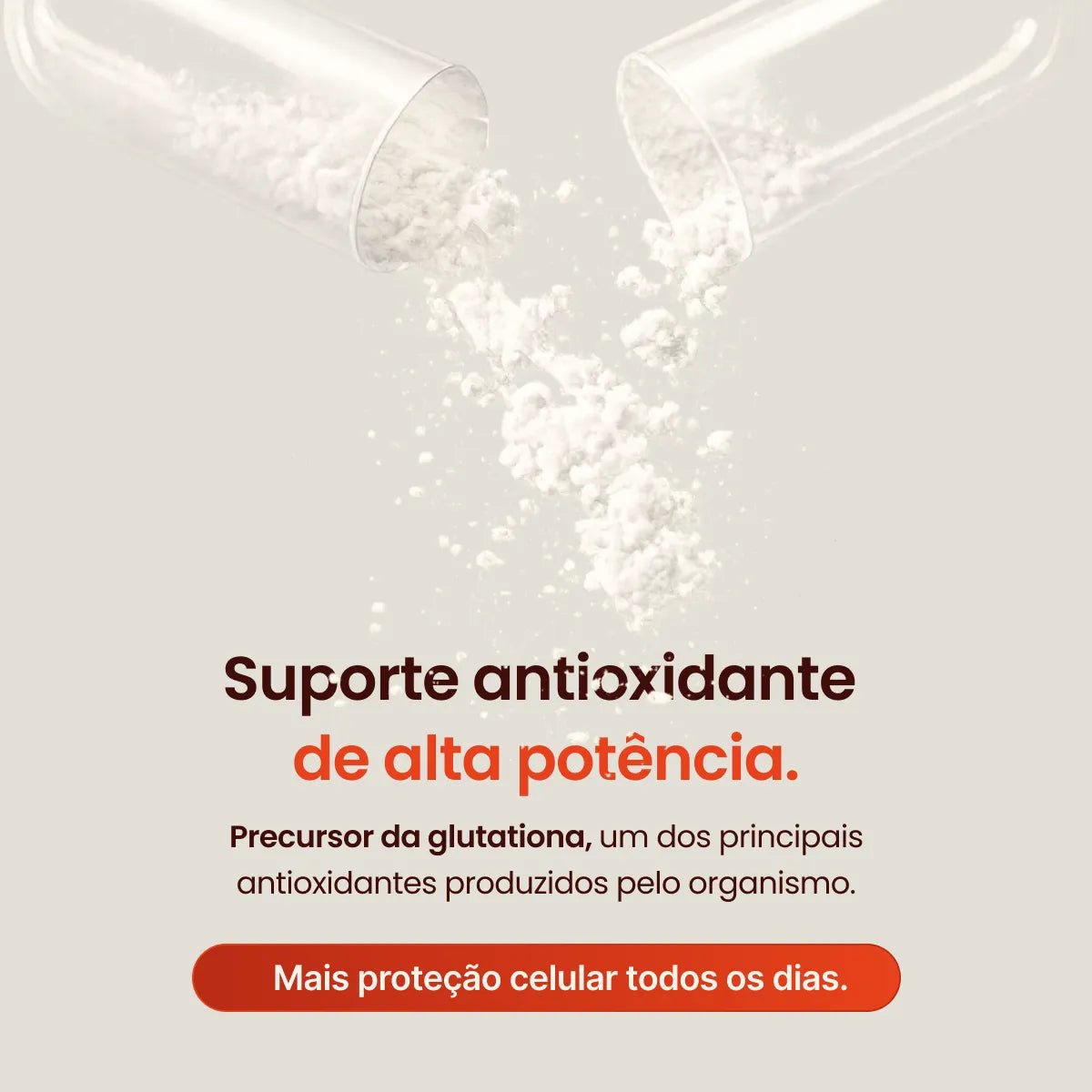 NAC N-Acetilcisteína | Molibdênio 30 Cápsulas - Aminoácidos - Bigens