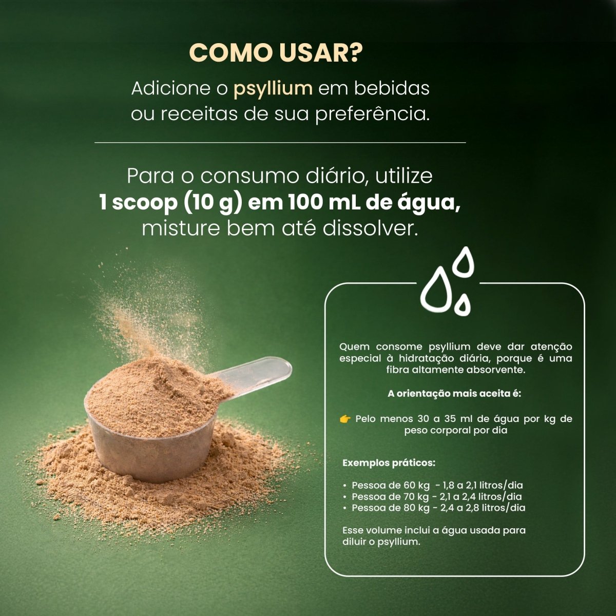 Psyllium Premium | Psyllium Puro 300g - Bigens
