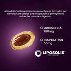 Quercetina Resveratrol Liposolis® | Formulado com Óleo TCM 60 Cápsulas - Bigens